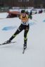 biathlon-sprint-540.jpg